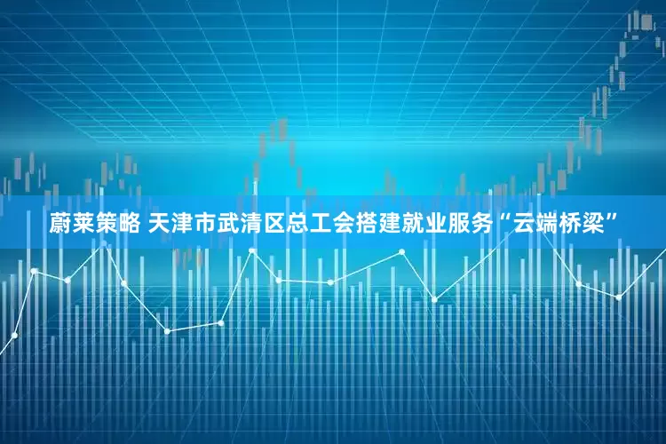 蔚莱策略 天津市武清区总工会搭建就业服务“云端桥梁”