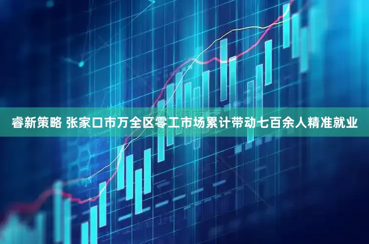 睿新策略 张家口市万全区零工市场累计带动七百余人精准就业