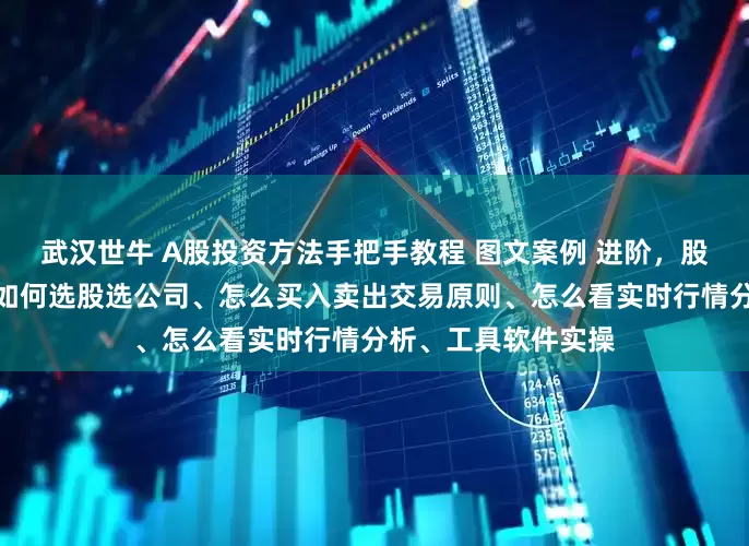 武汉世牛 A股投资方法手把手教程 图文案例 进阶，股票入门基础知识，如何选股选公司、怎么买入卖出交易原则、怎么看实时行情分析、工具软件实操