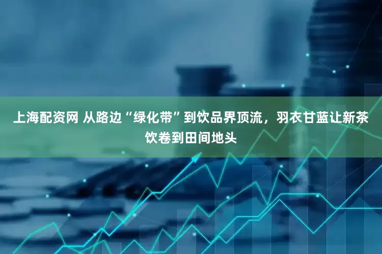 上海配资网 从路边“绿化带”到饮品界顶流，羽衣甘蓝让新茶饮卷到田间地头